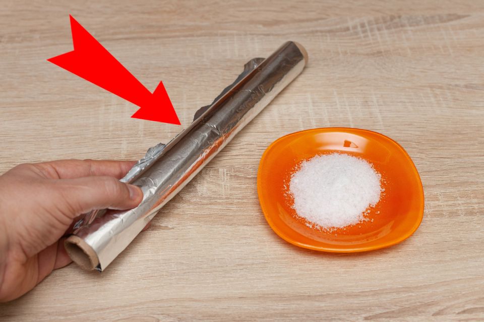 ������� ��� �����: ��� ������������ ���� � ������ ��� ������